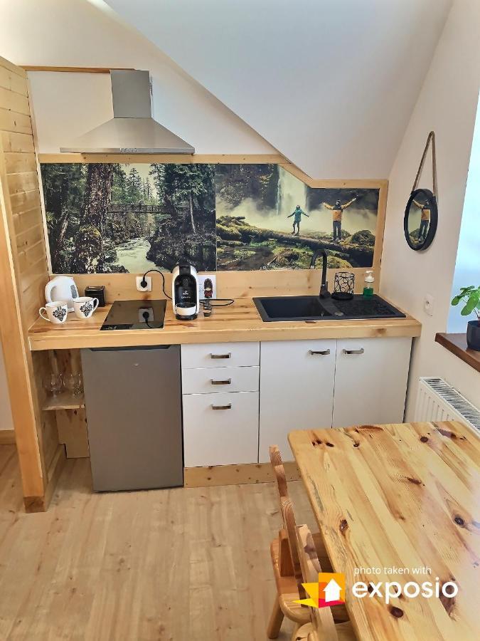 Ski Tour Apartments Закопане Экстерьер фото